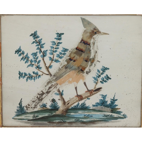 194 - A pair of bird feather and painted pictures, 20.5cm x 25.5cm of 2 perched birds (both a/f), in walnu... 