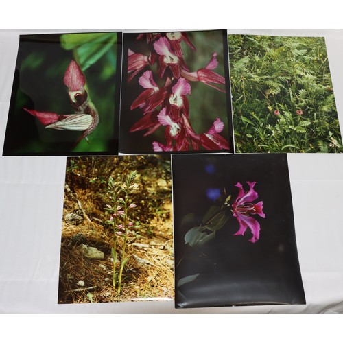 598 - DM Turner Ettlinger (Professional photographer), 7 coloured signed photographs, 