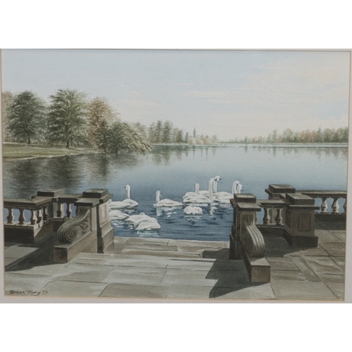 135 - Brian Terry, watercolour, 20.5cm x 27.5cm, depicting swans, signed and dated '89, in gilt frame