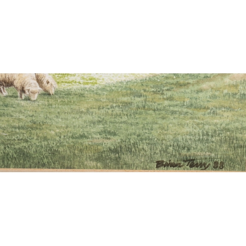 136 - Brian Terry, watercolour, 23.5cm x 33.5cm, depicting sheep grazing near pond, signed and dated '88, ... 