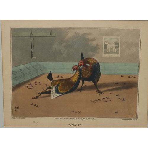 153 - A set of 4 Henry Alken small coloured prints, 15cm x 20cm, depicting cock fighting 