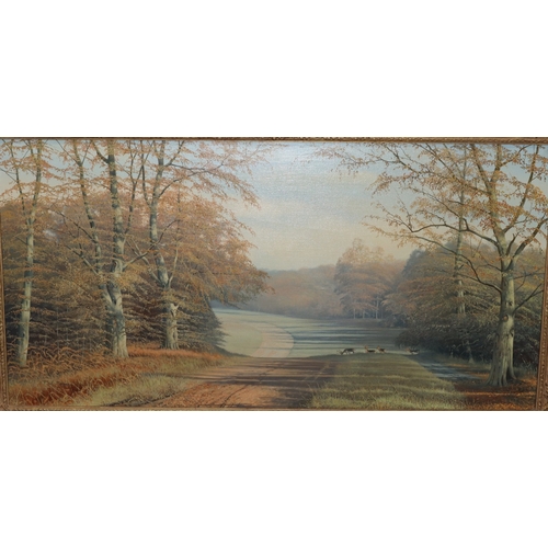 159 - Paul R Morgan, oil on canvas, 50cm x 100cm, depicting deer in wooded landscape, signed, in gilt fram... 