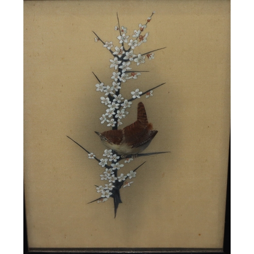 169 - A silk picture, 22cm x 16.5cm, depicting a perched bird (made from genuine feathers), in black frame... 