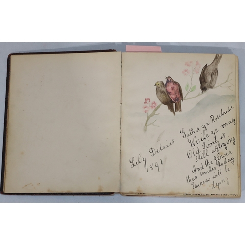 729 - E Hakke, 19th Century book containing watercolours by Lily Delias, pencil sketches, prints and verse... 