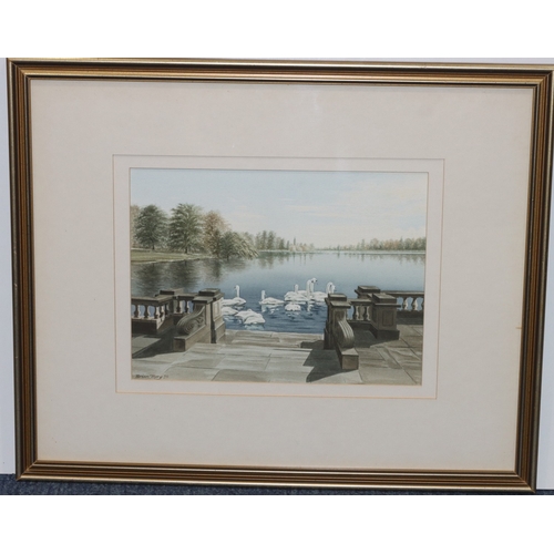 135 - Brian Terry, watercolour, 20.5cm x 27.5cm, depicting swans, signed and dated '89, in gilt frame