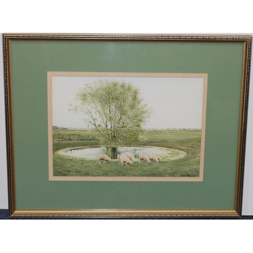 136 - Brian Terry, watercolour, 23.5cm x 33.5cm, depicting sheep grazing near pond, signed and dated '88, ... 