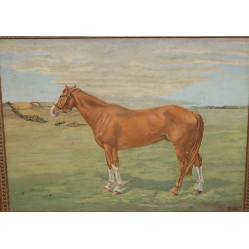 151 - Oil on canvas, 45cm x 59cm, portrait of a horse in open landscape, indistinctly signed, in gilt fram... 