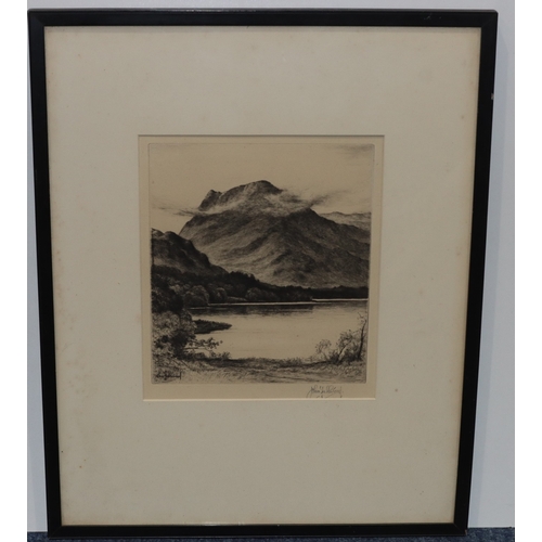 167 - John Fullwood, signed black and white etching, 22.5cm x 19.5cm, 