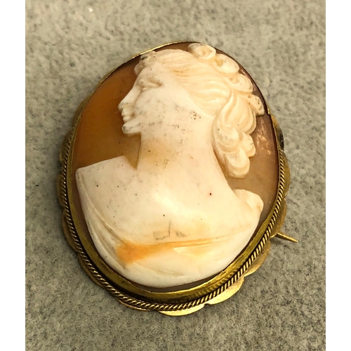 3339 - An oval cameo brooch, 5cm long.