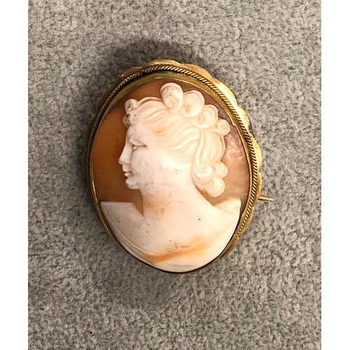 3339 - An oval cameo brooch, 5cm long.