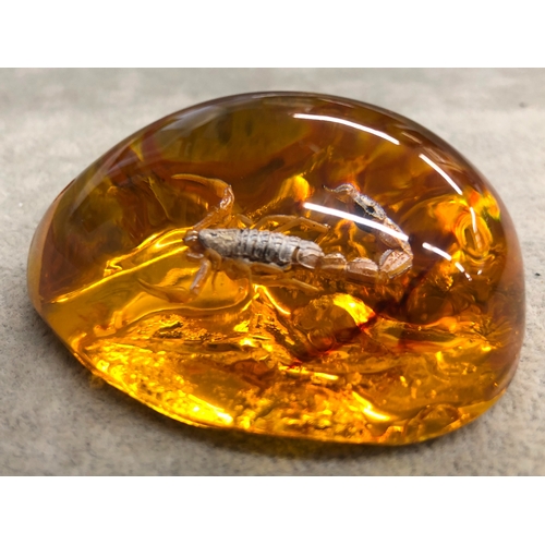 3340 - An amber resin nugget with a scorpion inside, 6cm long.