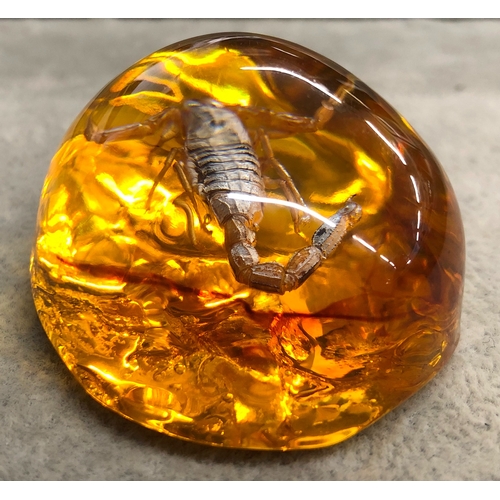 3340 - An amber resin nugget with a scorpion inside, 6cm long.