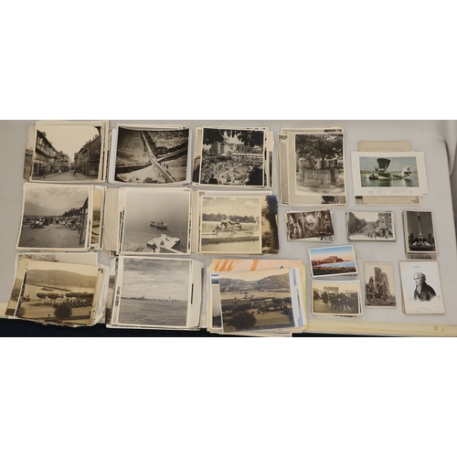 Lot 631       
