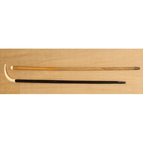 6140 - An ebony and bone walking stick and another walking stick (2)