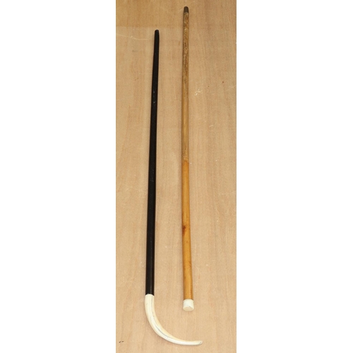 6140 - An ebony and bone walking stick and another walking stick (2)