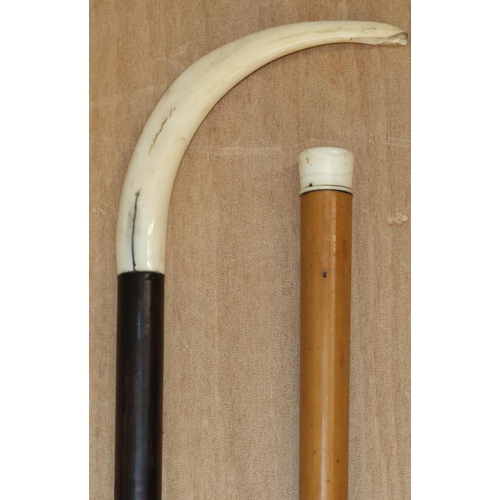 Lot 6140      