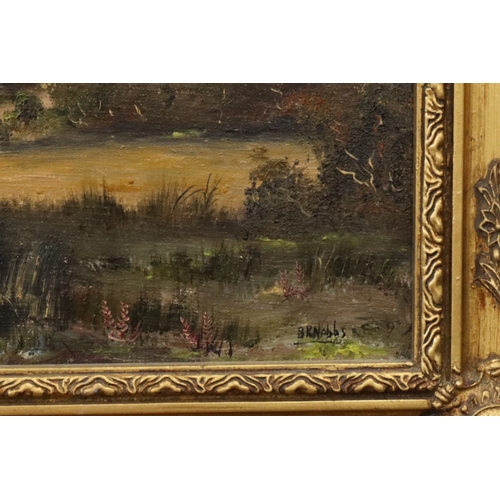7049 - An oil on canvas, B.R Nobbs of a river bank and cottage, 24.5 x 29.5cm, in gilt frame.