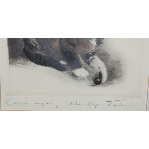 124 - Kurt Meyer-Eberhardt (1895-1977), signed coloured engraving, 27cm x 27cm, 
