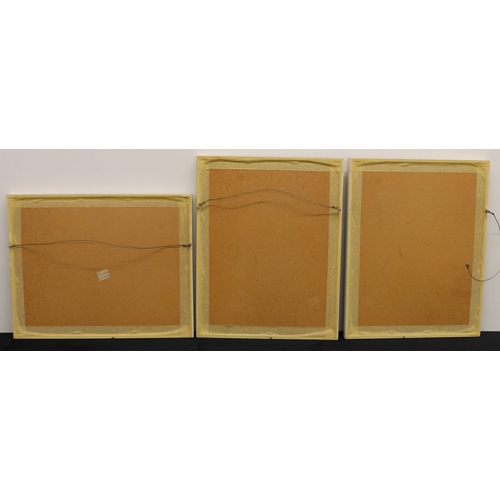 9143 - A set of 3 prints, 