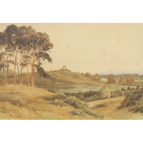 3059 - 8 various prints of Reigate ,Redhill and Surrey, all framed, largest 43.5cm x 54.5cm including frame... 
