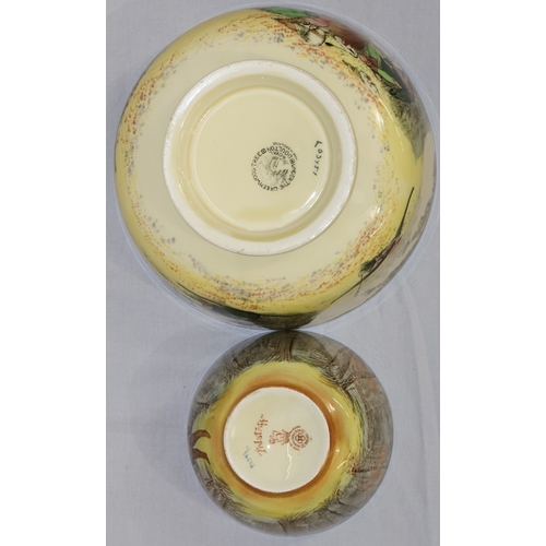 23 - A Royal Doulton Series Ware bowl 