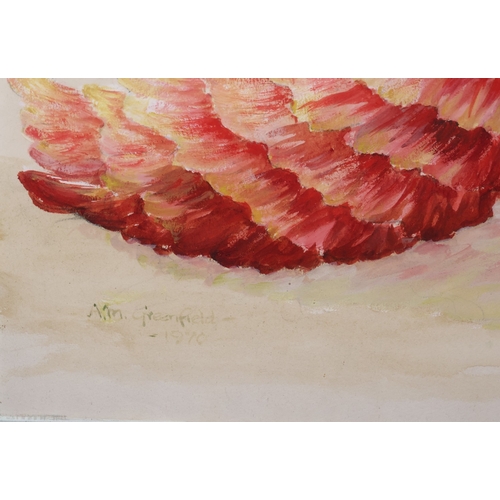 263 - Ann Greenfield, watercolour, 37cm x 26cm, depicting Flamenco Dancer, signed and dated 1970, in white... 