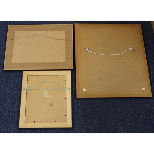 3063 - A framed floral embroidery, 54cm x 46cm overall (some stains) and 2 other framed pictures.
