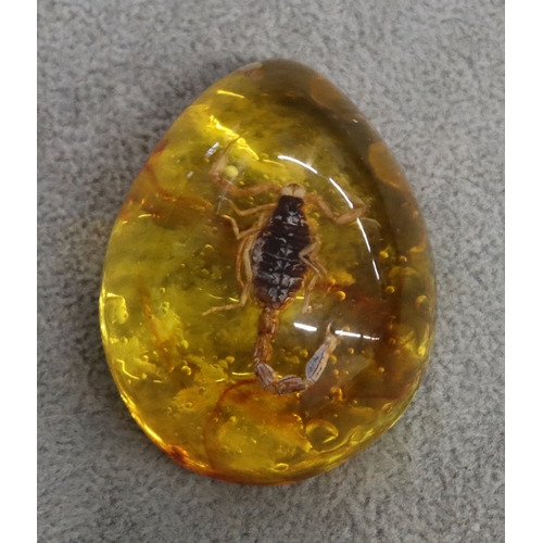4011 - A scorpion set in amber style resin, 5.5cm x 4.2cm.