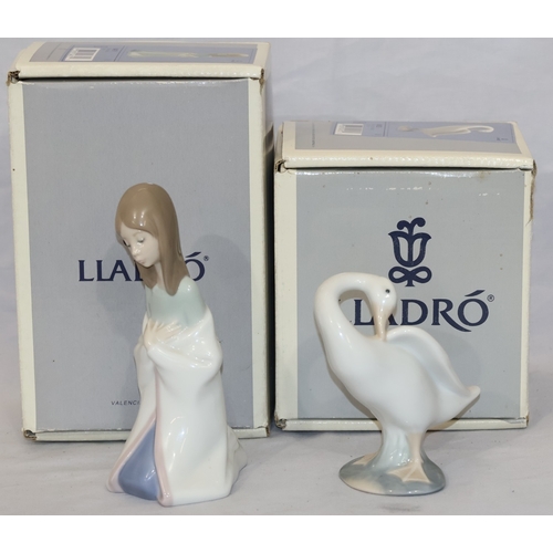 Lot 29        