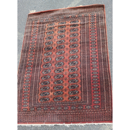 Lot 5015      