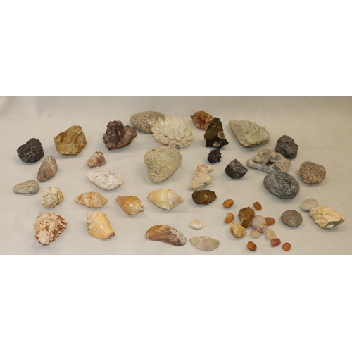 Lot 5039      