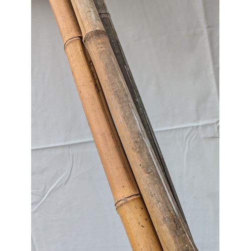 23 - 3 Large Bamboo Canes