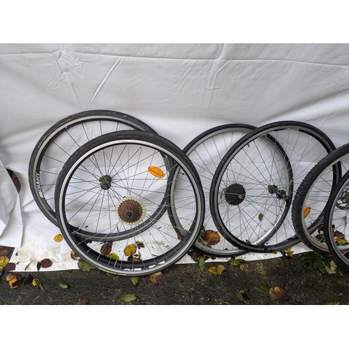 19 - A Selection of 10 Push Bike Wheels