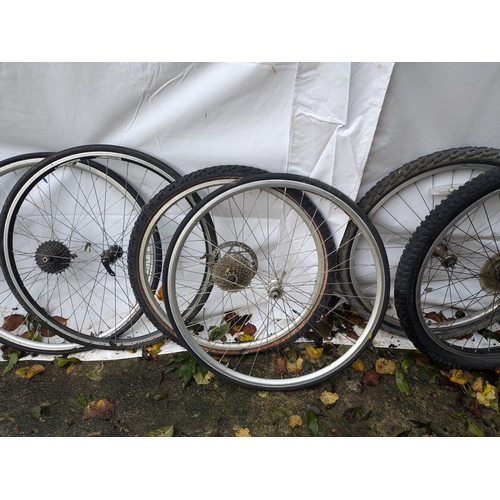 19 - A Selection of 10 Push Bike Wheels