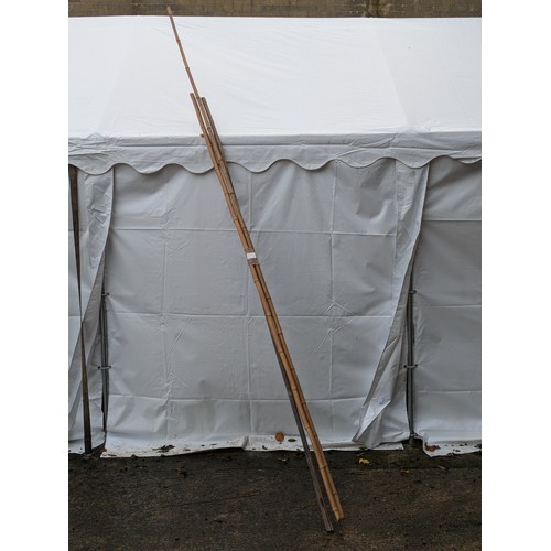 75 - 3 Large Bamboo Canes