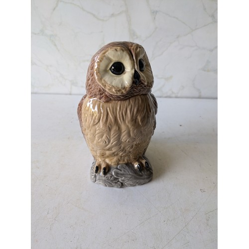 554 - A Ceramic Owl Figure