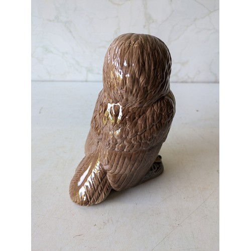 554 - A Ceramic Owl Figure