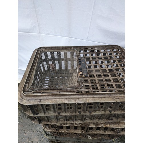 55 - 3 poultry crates