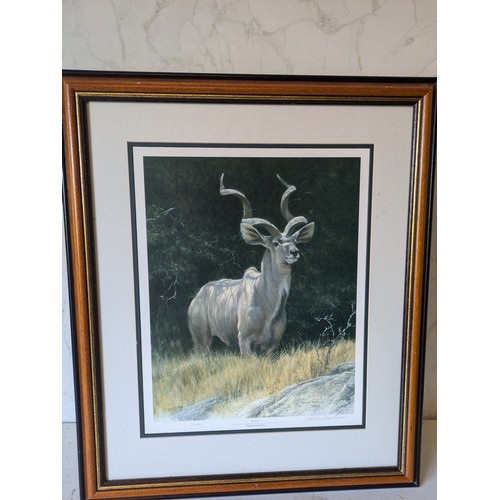 545 - robert bateman pencil artork of a stag signed Kudu