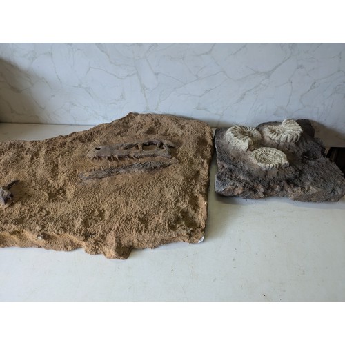 389 - a pair of wall hanging fossil scupltures