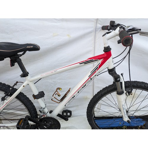 445 - Raleigh All Terrain Mountain Bike