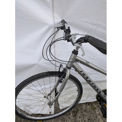 27 - Ridgeback Velocity Finish Line Push Bike