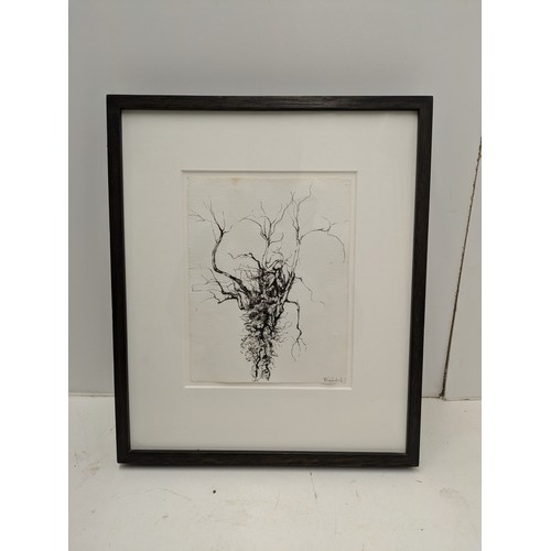 578 - Fiona Campbell MFA MRSS - Tree Pen Drawing On Hand Made Paper