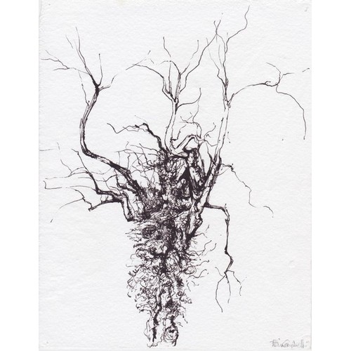 578 - Fiona Campbell MFA MRSS - Tree Pen Drawing On Hand Made Paper