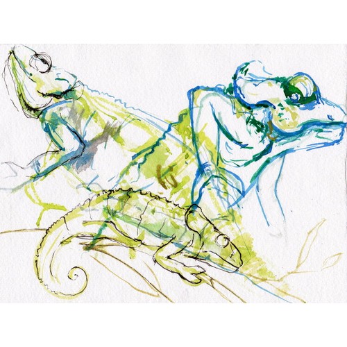 579 - Fiona Campbell MFA MRSS - Chameleon Ink And Watercolour On Hand Made Paper