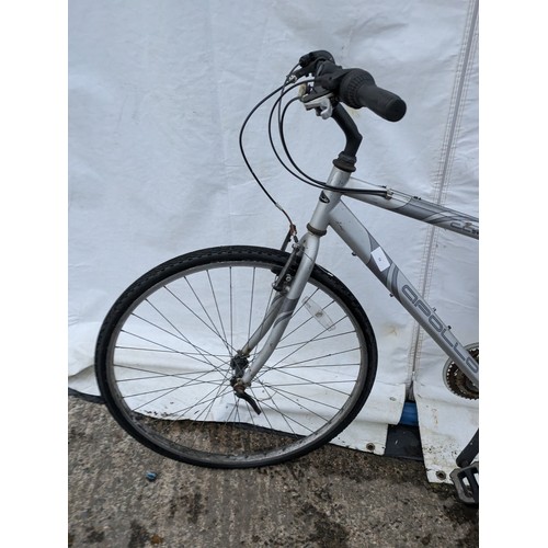 58 - Apollo cafél push bike