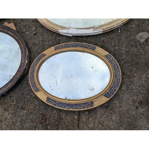 521 - a selection of vintage oval mirrors including guilded and verniered frames