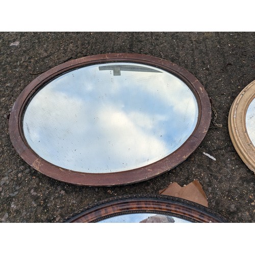 521 - a selection of vintage oval mirrors including guilded and verniered frames