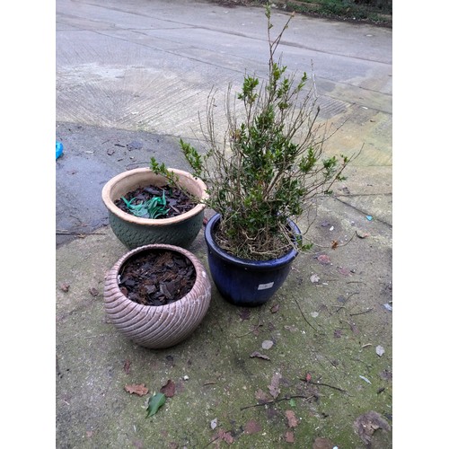 44 - A selection of three Garden pots