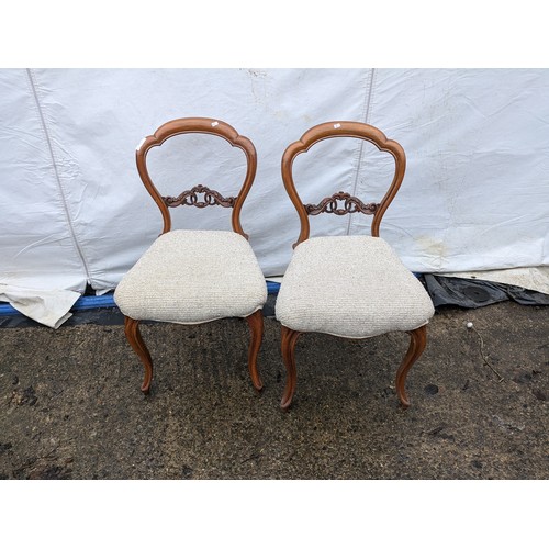 245 - A Pair of Victorian Walnut Chairs With Ornate Design And Carved Features - Upholstered Base